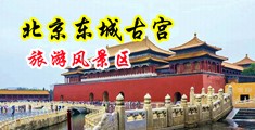 女人被男人操逼网站中国北京-东城古宫旅游风景区